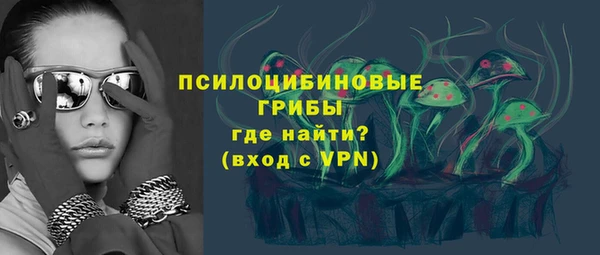a pvp Белокуриха
