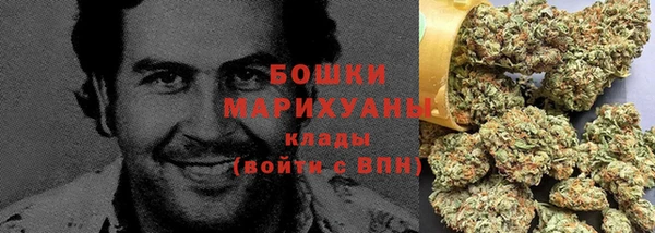 a pvp Белокуриха