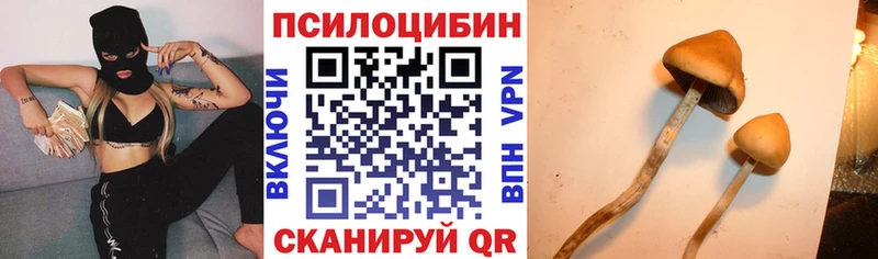 Купить  Биробиджан  Псилоцибиновые грибы Cubensis 